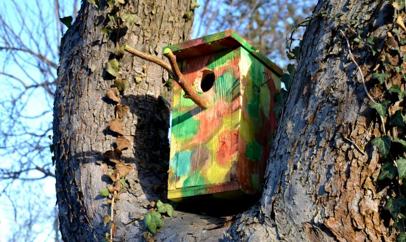 Bat House Installation