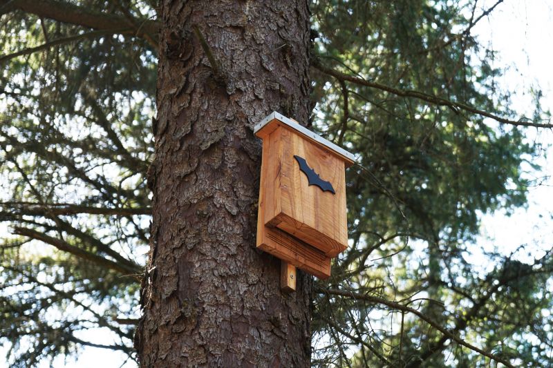 Bat House Installation