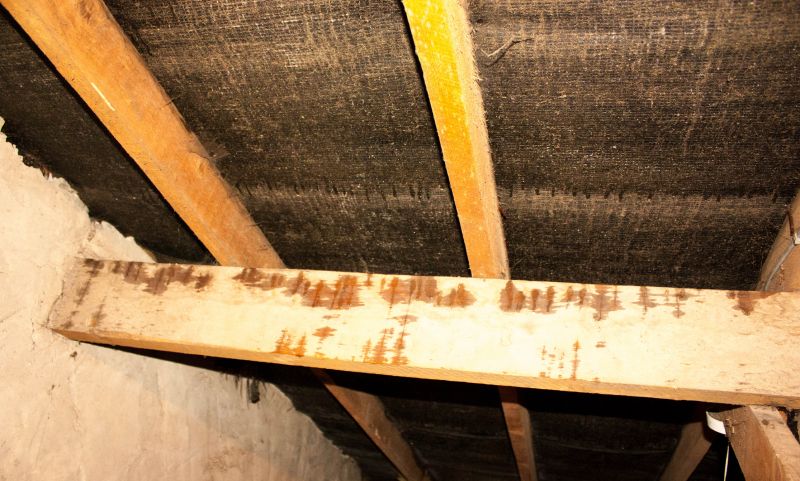 Building Repair Service in Santa Rosa, CA
